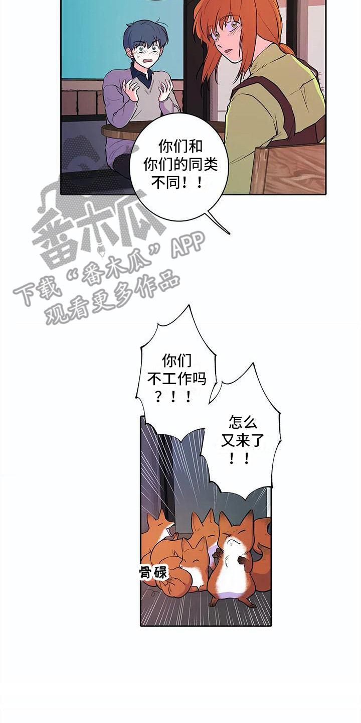 第36章：想要了解1