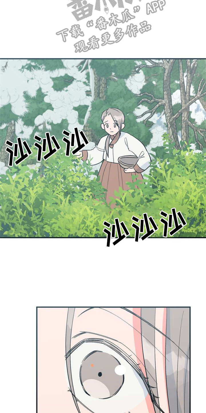 第21章：采摘2