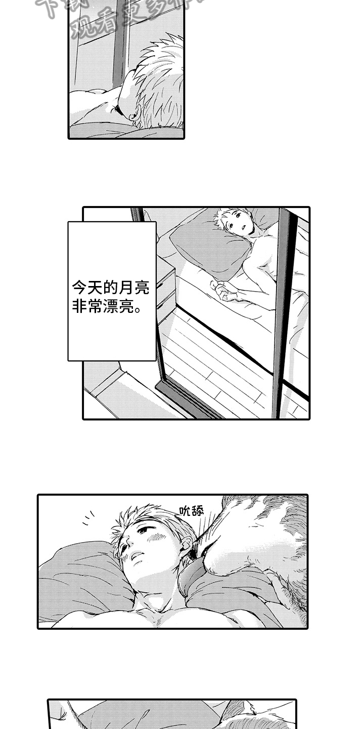 第10章：月圆美梦【完结】3