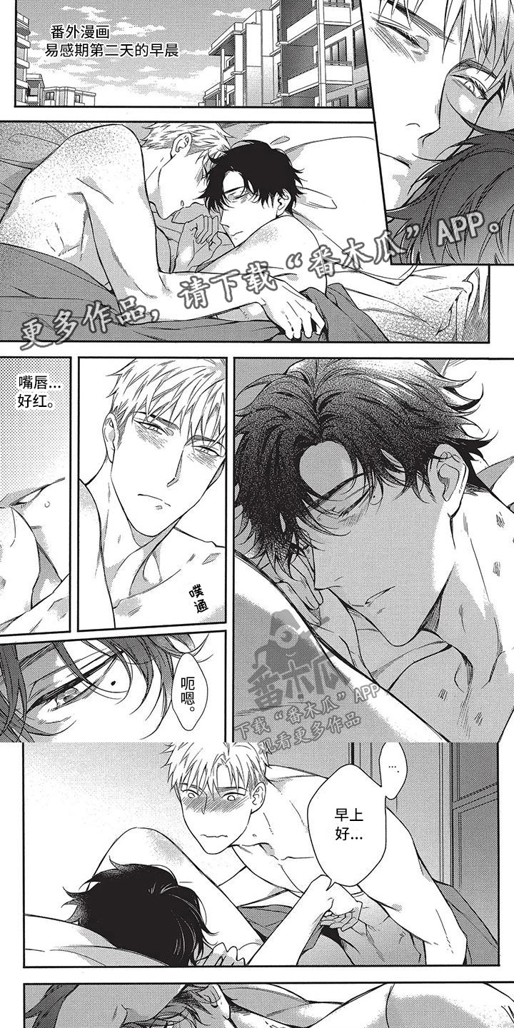 第18章：我们的早晨（完结）0