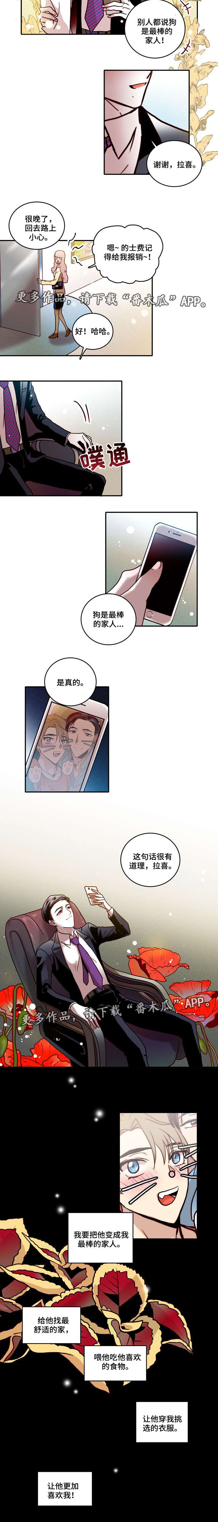 第19章：训狗4