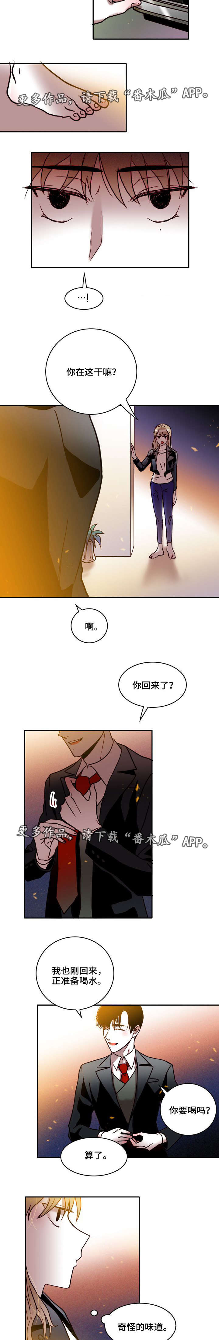 第32章：躲藏3