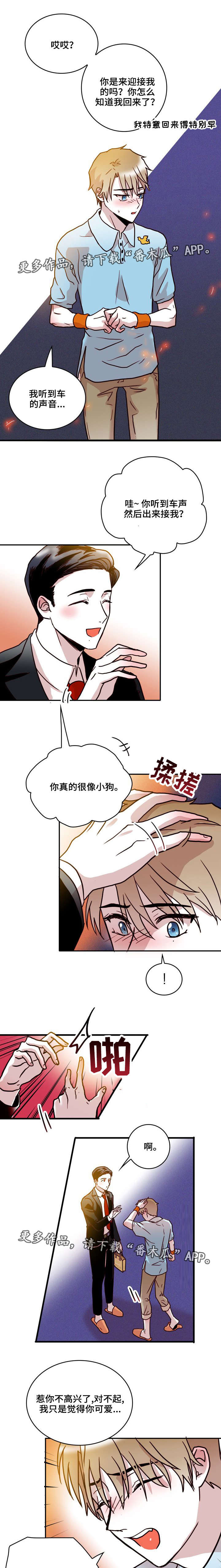 第40章：逃避0