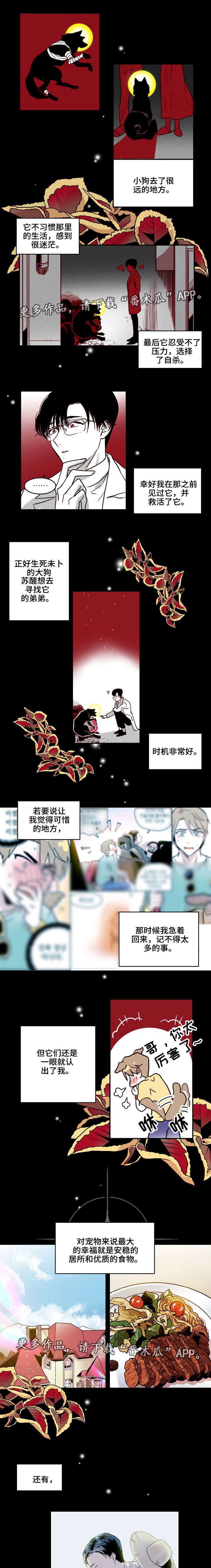 第19章：训狗1
