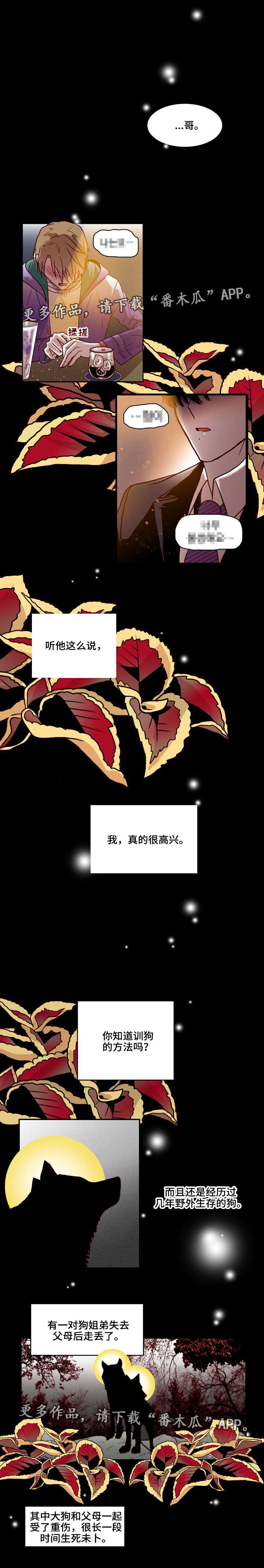 第19章：训狗0