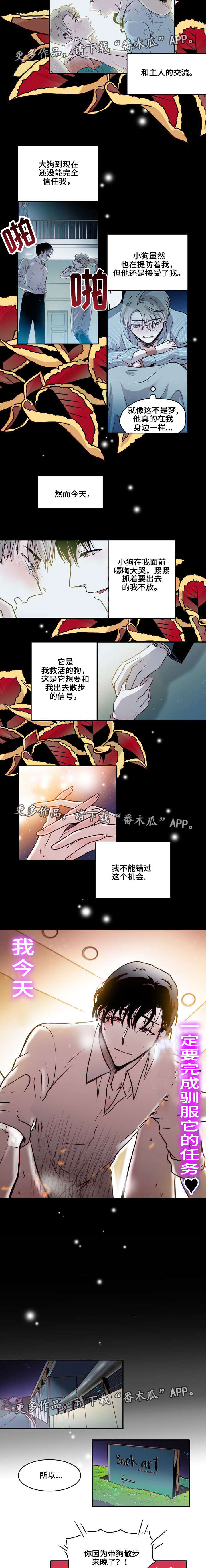 第19章：训狗2