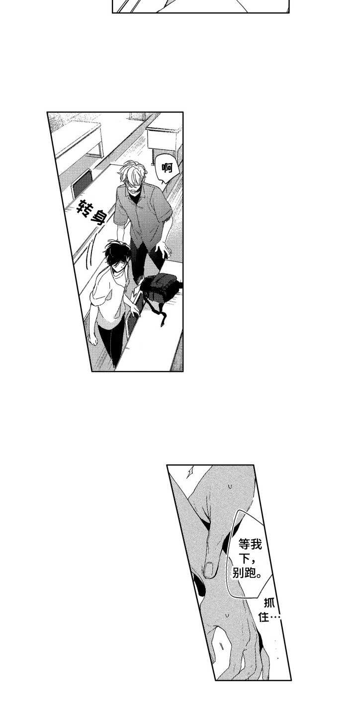 第17章：聊一聊4