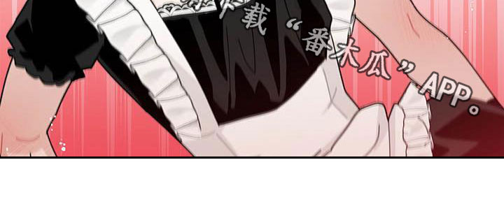 第54章：一件一件试2