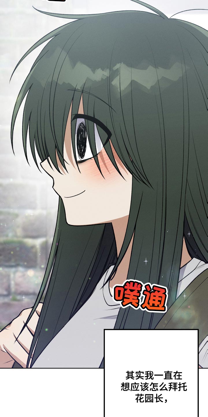 第36章：完美的计划2