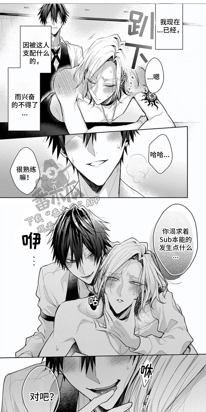 第12章：恶趣味0