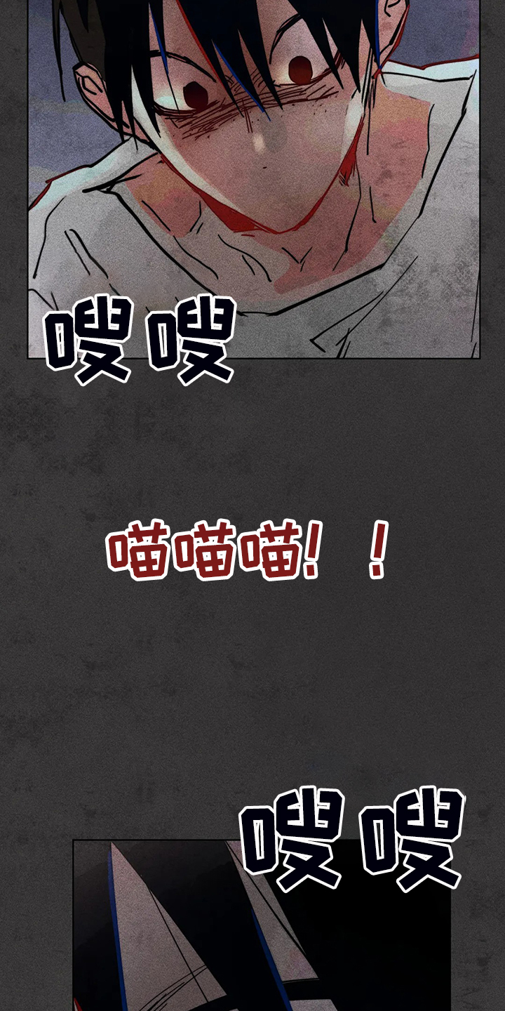 第93章：是达云杀了猫1