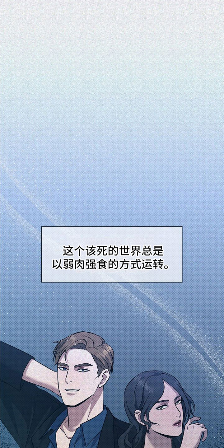 第5章：替代品0