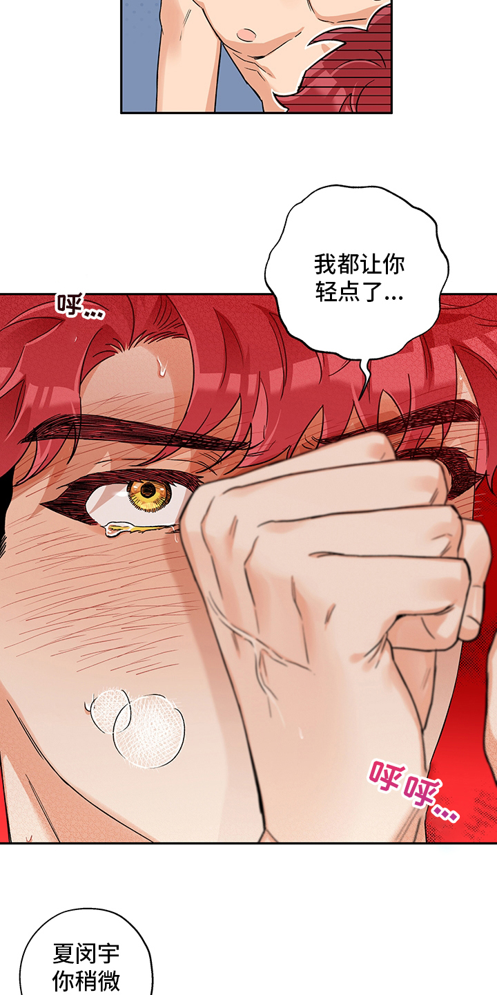 第100章：一辈子（第二季完结）4