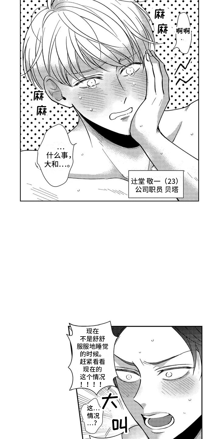 第1章：免费体验4