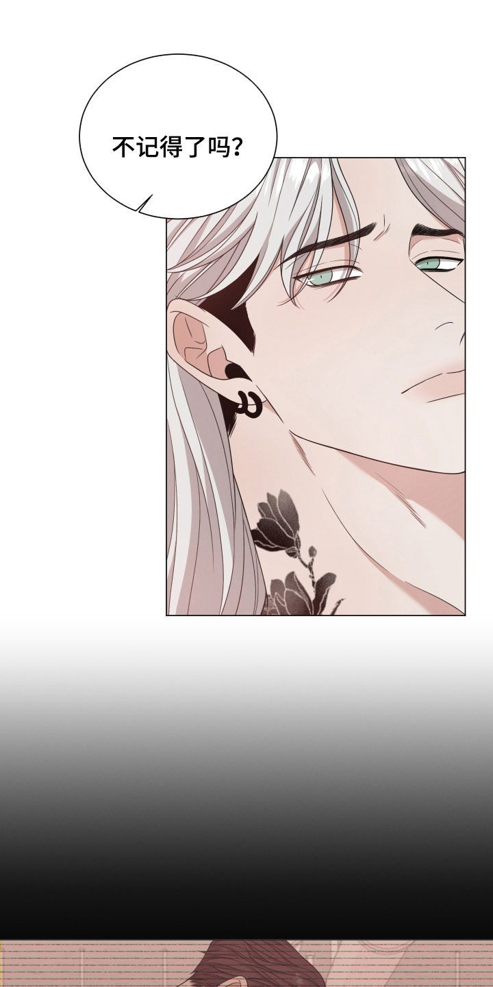 第97章：【第二季】怀孕3