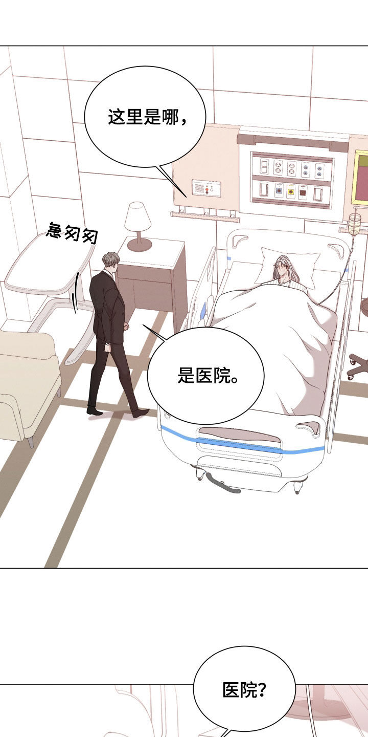 第97章：【第二季】怀孕1