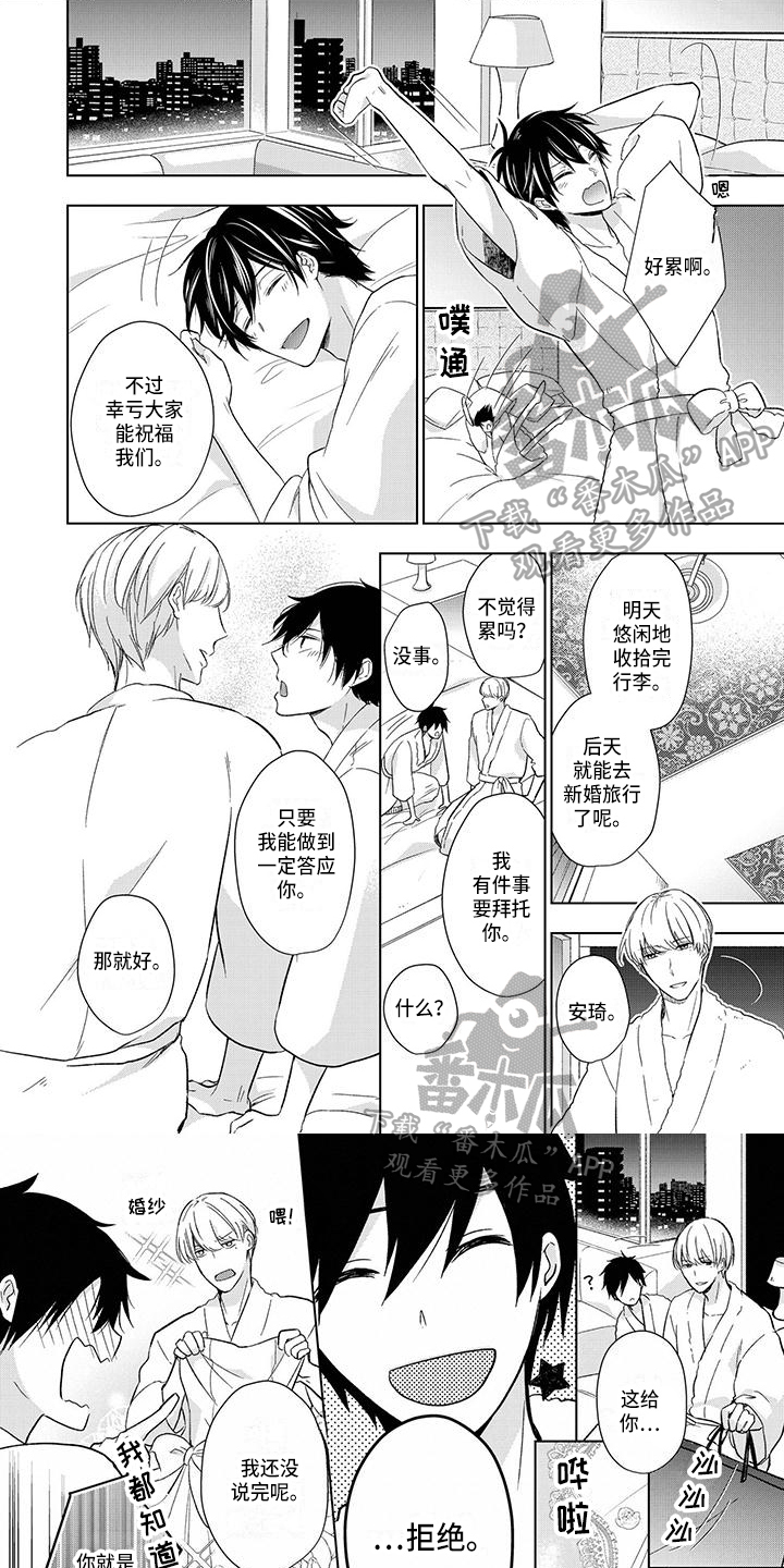 第25章：新婚旅行0