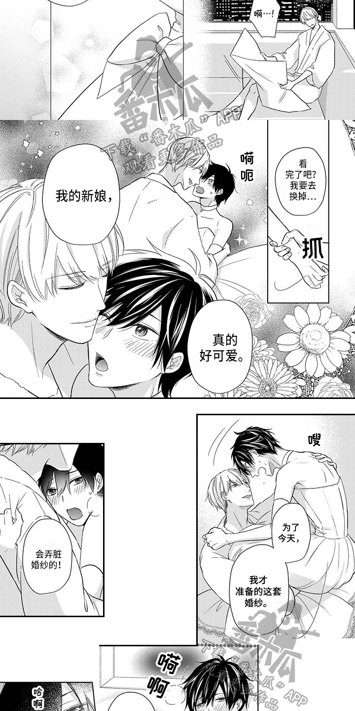 第25章：新婚旅行2