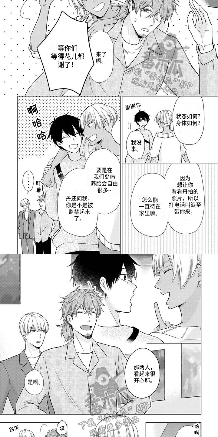 第53章：好主意2