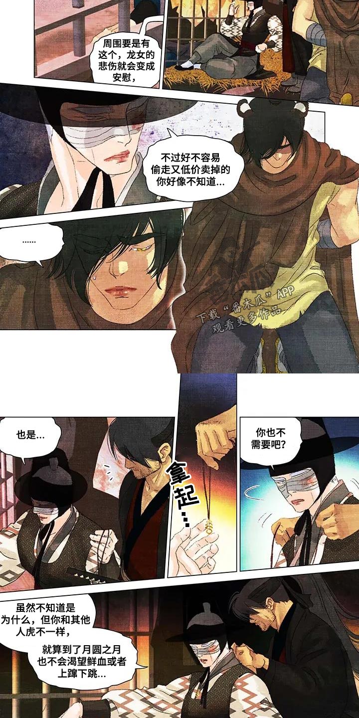 第55章：蝴蝶1