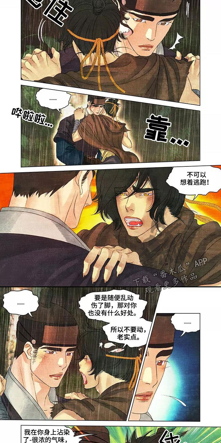 第36章：搜山3