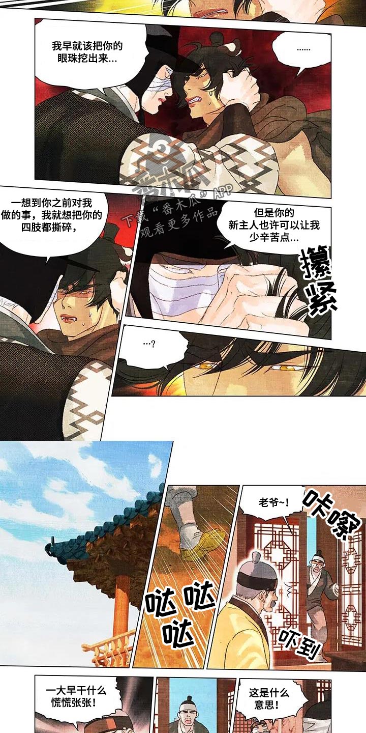 第54章：帽子3