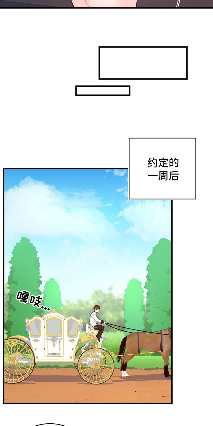 第19章：学习3