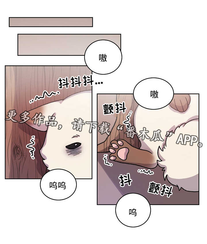 第35章：收养0
