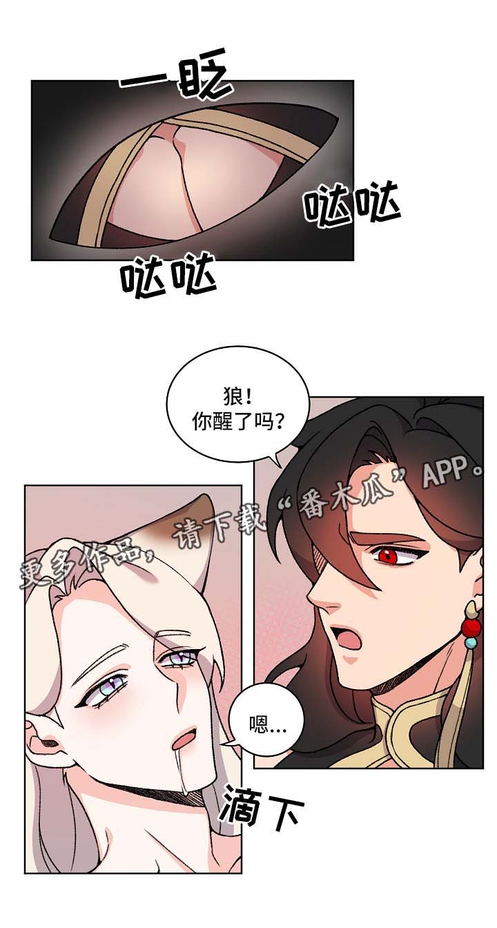 第42章：苏醒0