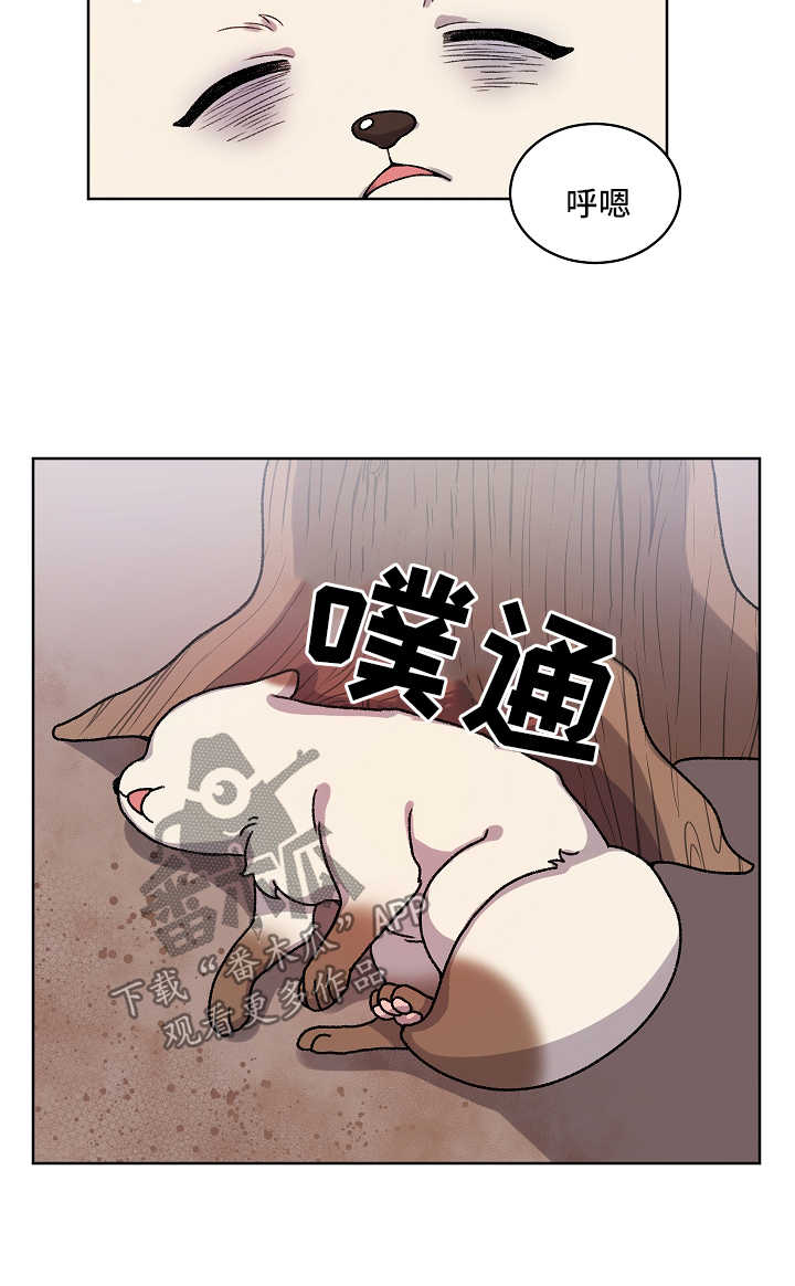第35章：收养2