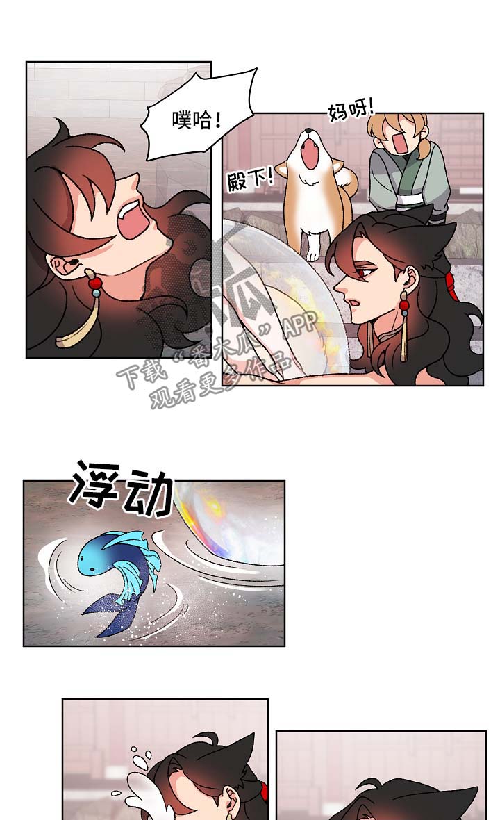 第41章：报复3