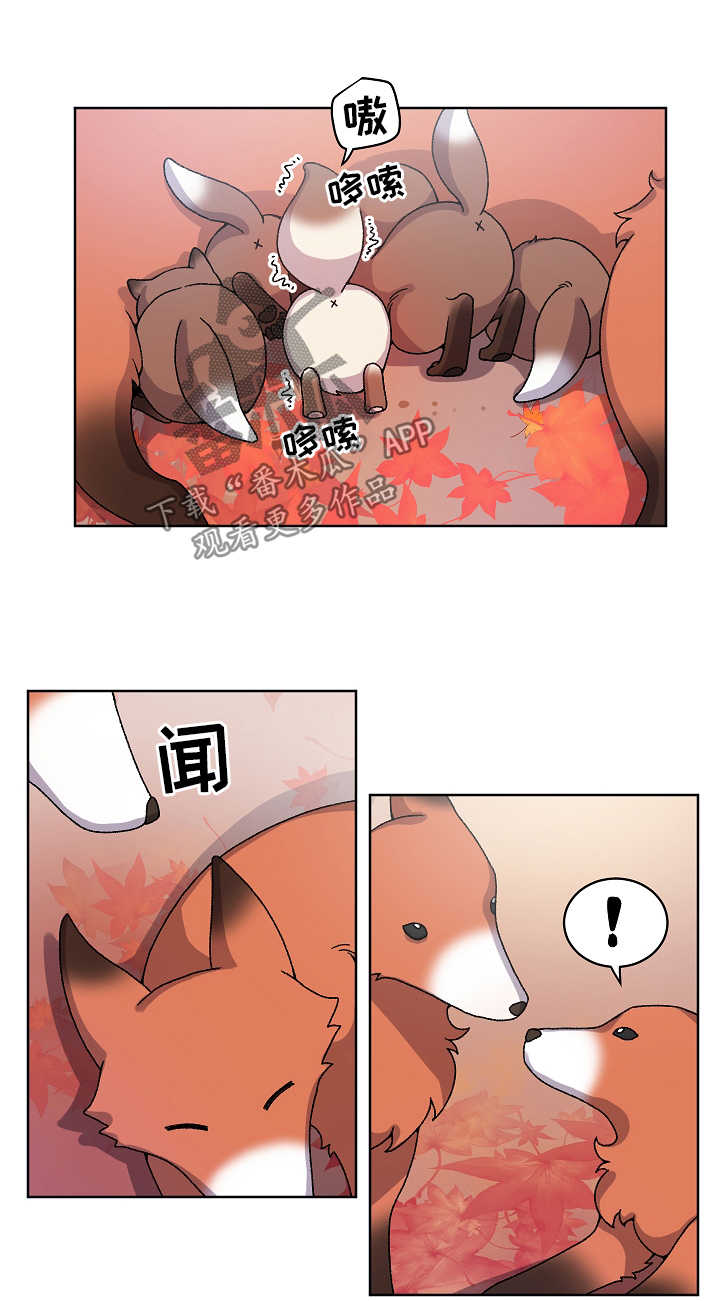 第34章：走丢2