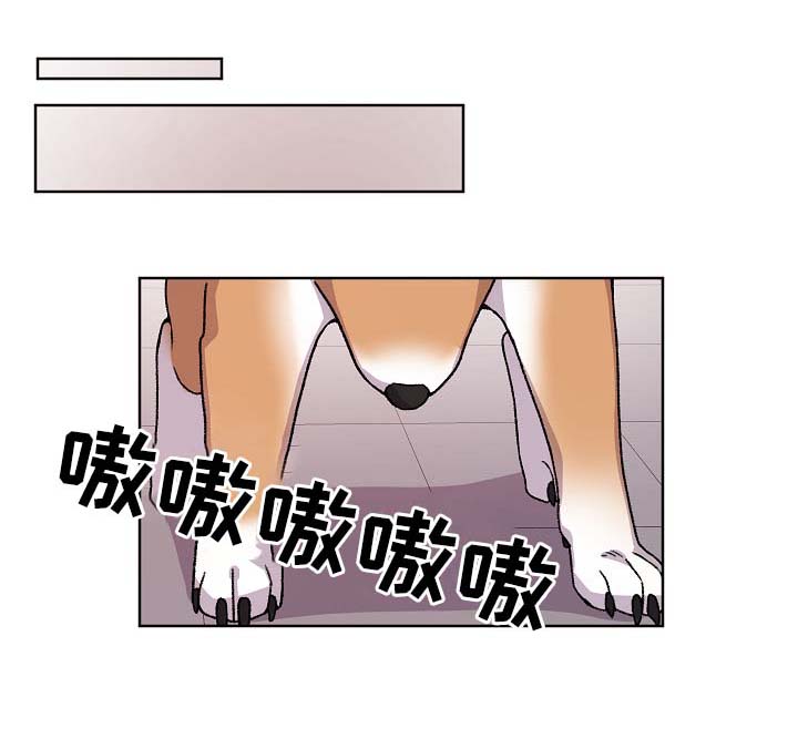 第41章：报复0