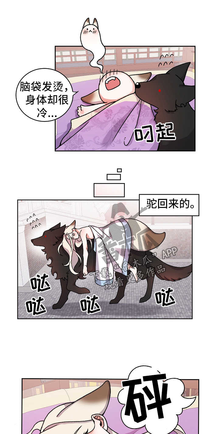 第33章：不回去也可以1