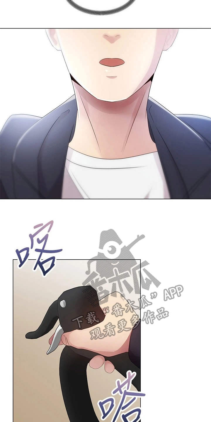 第4章：真的是她1