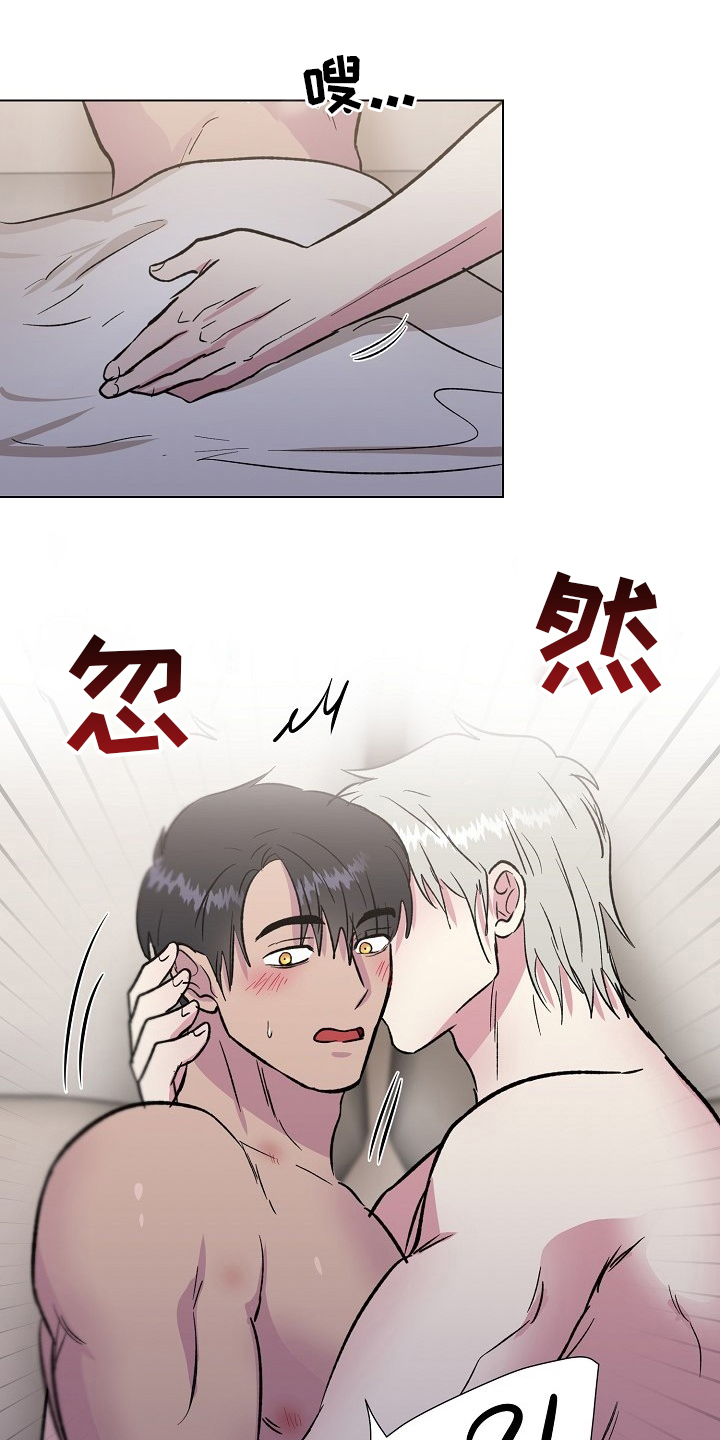 第71章：【完结】决定1