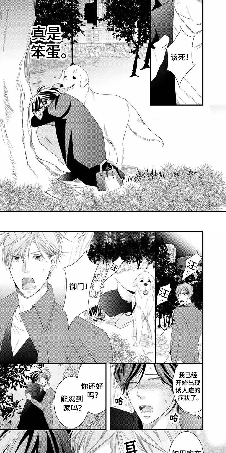 第21章：只有你1