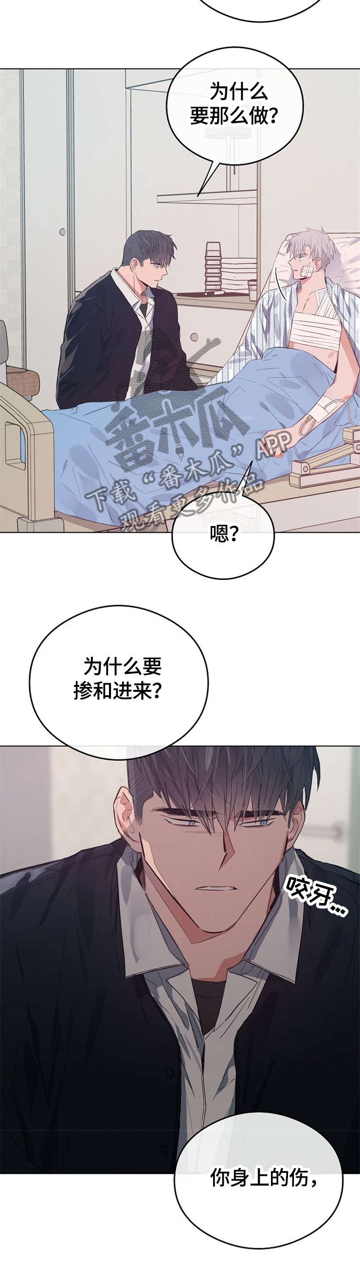 第63章：我喜欢你2