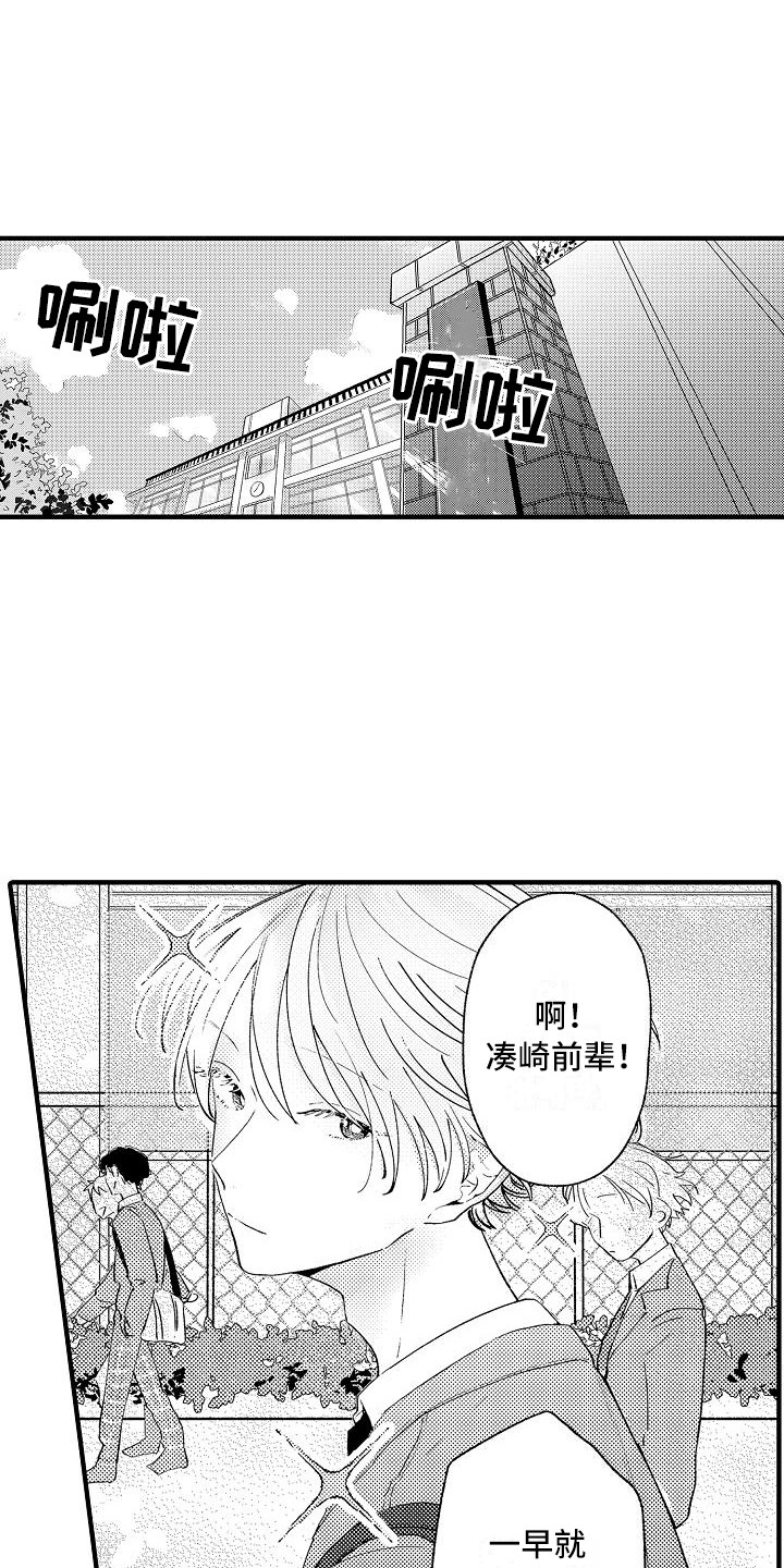 第1章：白莲花0