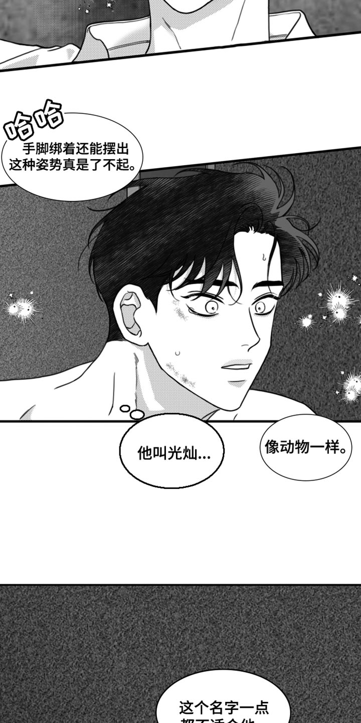 第29章：不适合他2