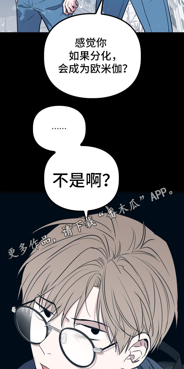 第11章：分化4