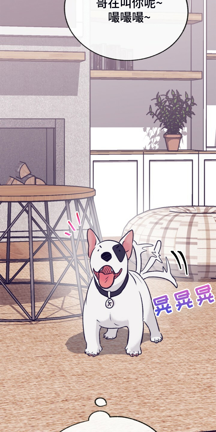 第154章：【第二季】最强者1