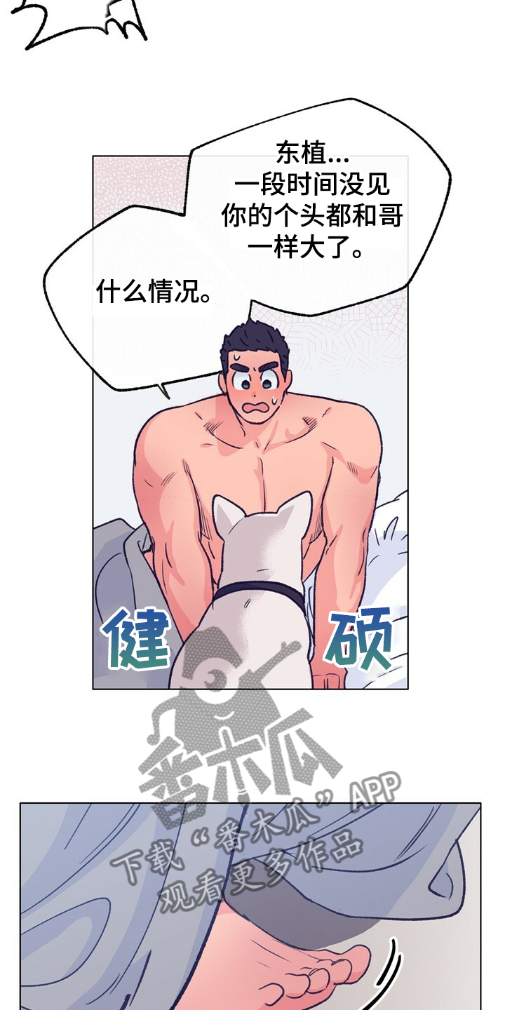 第127章：【第二季】硕大的东植4