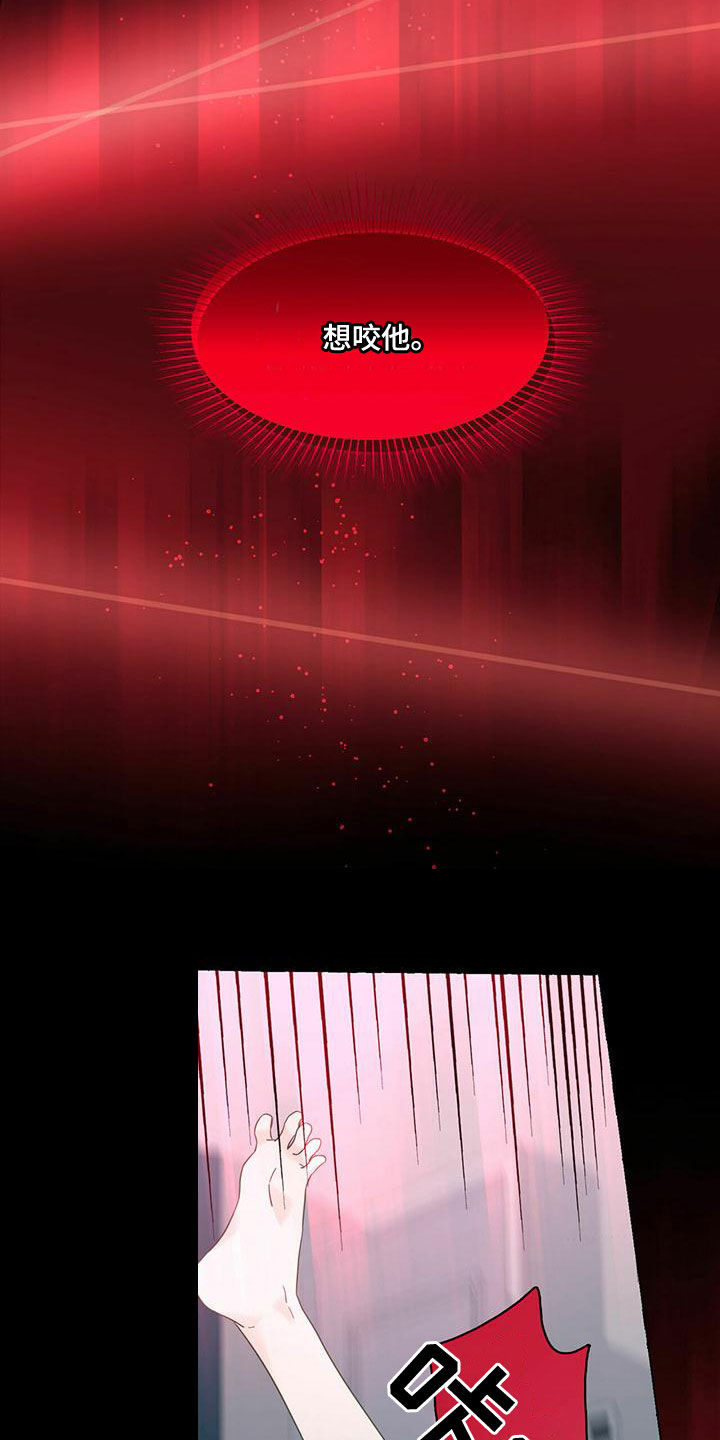 第107章：闪耀着光4