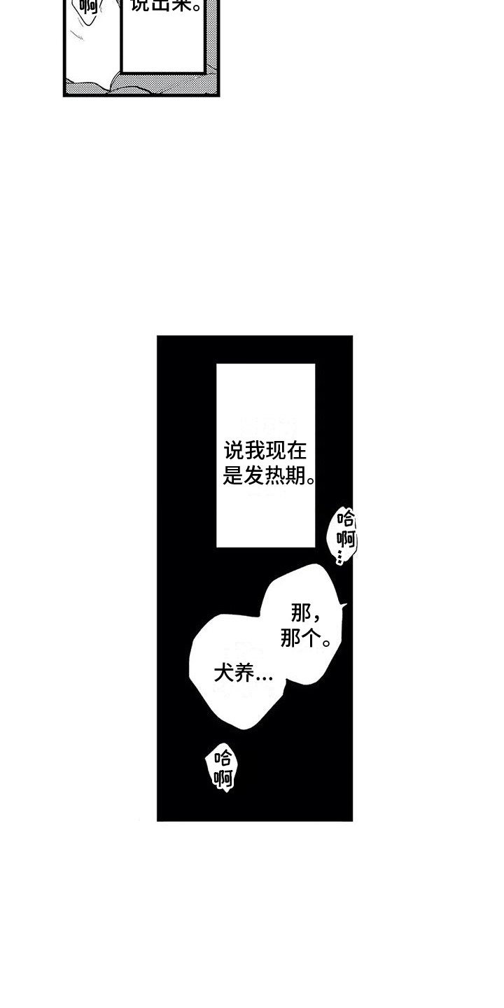 第16章：发热期3