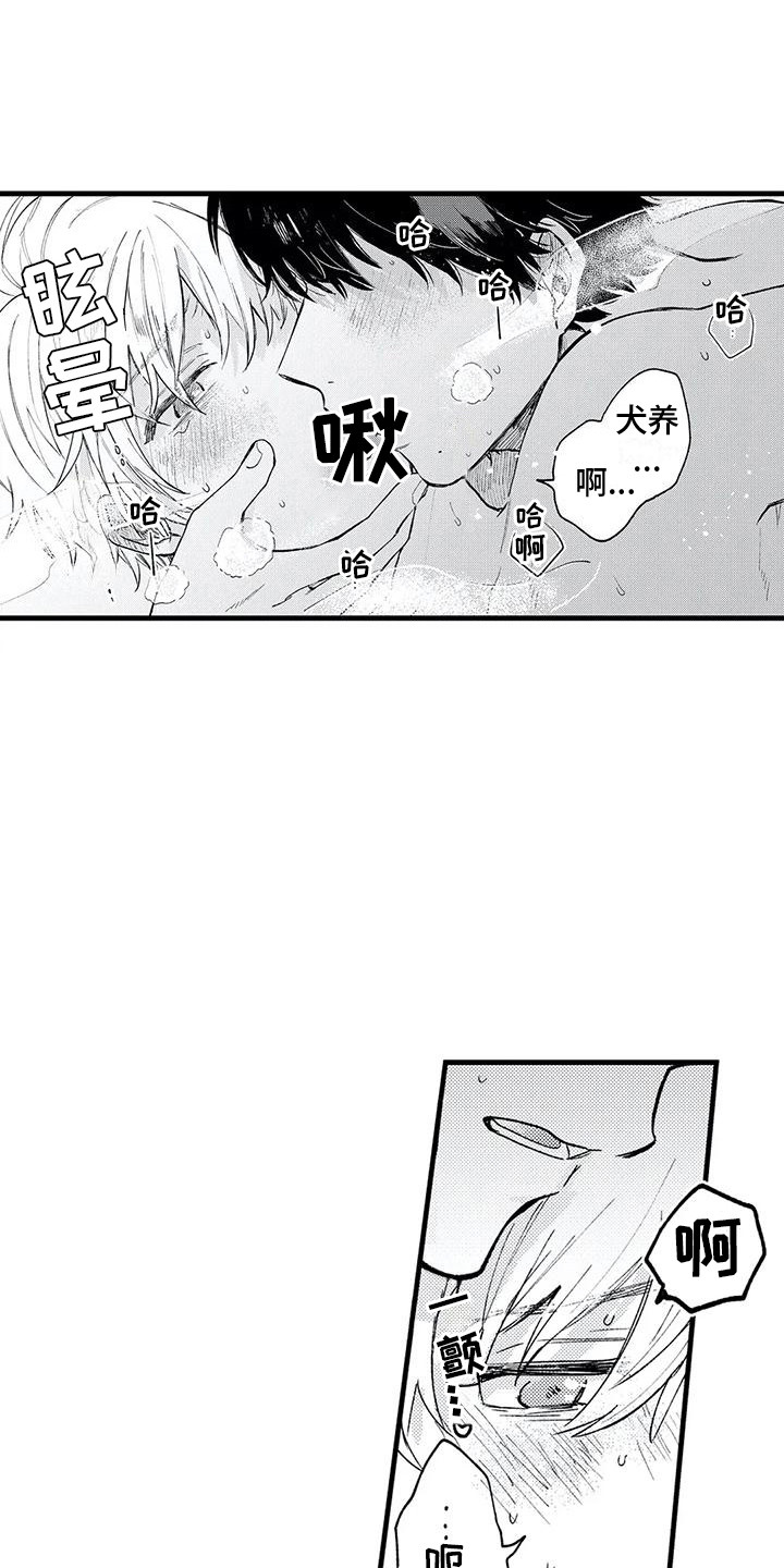 第34章：结为伴侣0