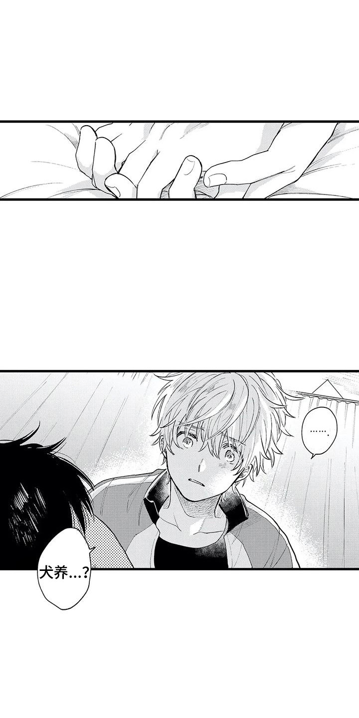 第32章：真心喜欢1