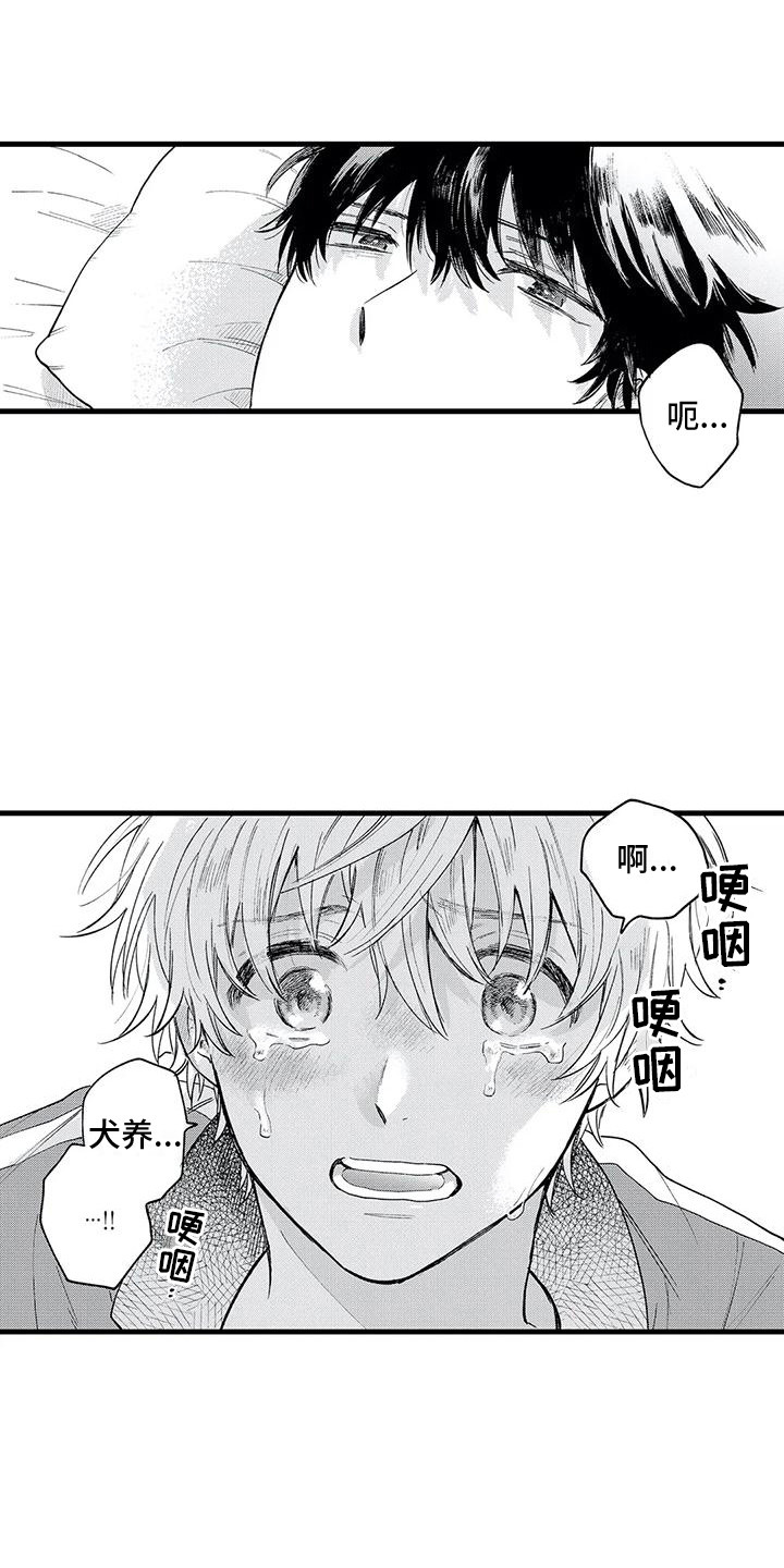 第32章：真心喜欢2