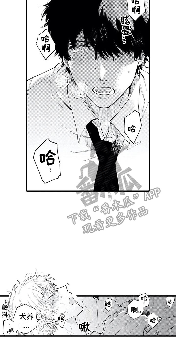 第17章：想要拥有1