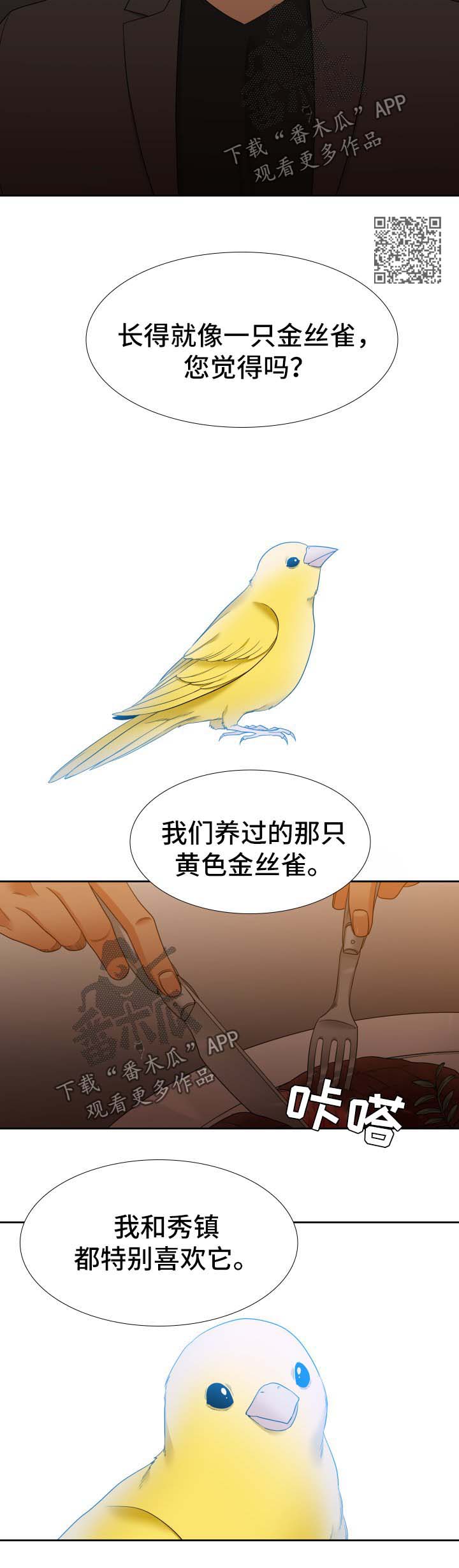 第55章：金丝雀4